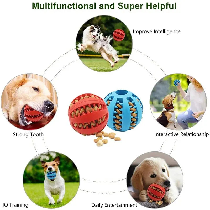 Dog Toy Ball, Nontoxic Bite Resistant Toy Ball for Pet Dogs Puppy Cat,
