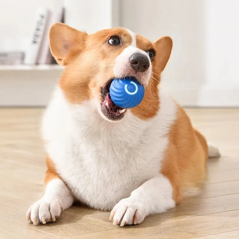 Dog Toys Intelligent Gravity Jump Ball Rechargeable Bite-Resistant