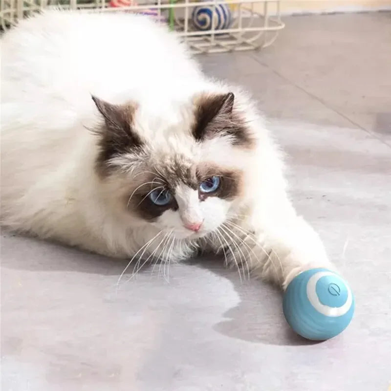 Cat Interactive Ball Training Self-moving Kitten Electric Cat Ball