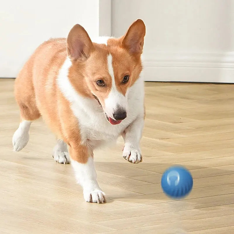 Dog Toys Intelligent Gravity Jump Ball Rechargeable Bite-Resistant