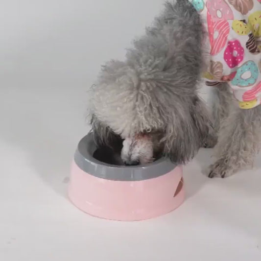 Dog Water Bowl Traveling Car Bowl Anti-skid Splash-proof And Non-wet Mouth Pet Products
