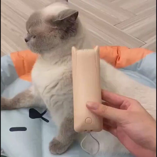 Pet Groomer Pet Hair Removal Brush Cat Grooming Brush Dog Cat Massage Epilator To Remove Floating Hair Cat Hair Dog Pet Supplies